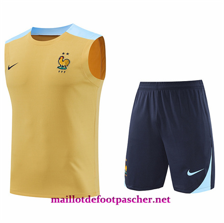 Dernier Maillot Training de Foot France Debardeur + Shorts Jaune 2024/2025